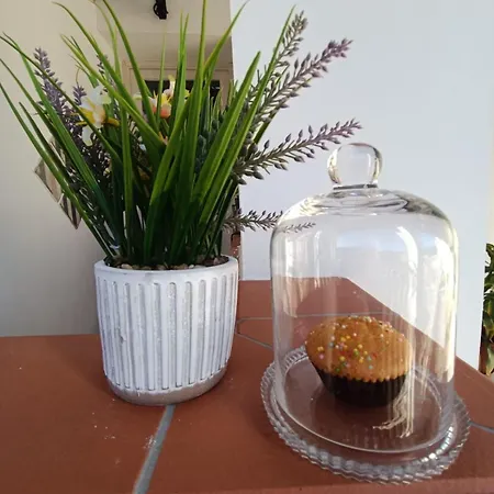 Bed & Breakfast Goti