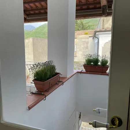 Goti Bed & Breakfast